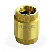 Клапан обратный Pedrollo VR 2 - 2" (магистральный, латунь)